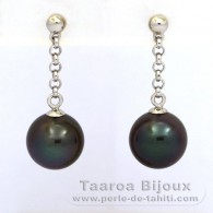 Silber Ohrringe und 2 Runde TahitiPerlen C 9.1 mm