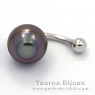 Silber Piercing und 1 Circles TahitiPerle B 11.1 mm