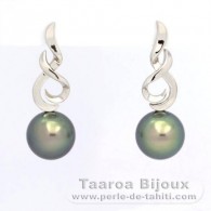 Silber Ohrringe und 2 Runde TahitiPerlen C 10.6 mm