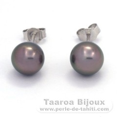 Sterling Silber Ohrringe und 2 Runde TahitiPerlen C 8.2 mm