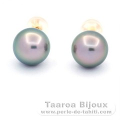 18K Gold Ohrringe und 2 Runde TahitiPerlen B 8.8 mm