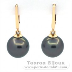 14K Gold Ohrringe und 2 Runde TahitiPerlen B 9.9 mm