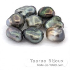 Lot von 8 TahitiKeishi - 3.3 gr