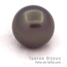 Rund Nackte Tahitiperle B/C 12.6 mm