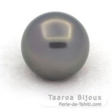 Rund Nackte Tahitiperle C 13.7 mm