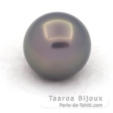 Rund Nackte Tahitiperle A/B 12.7 mm