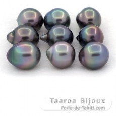Lot von 9 Semi Barocke TahitiPerlen B von 10.1 bis 10.4 mm