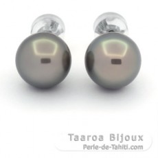 Sterling Silber Ohrringe und 2 Runde TahitiPerlen C 10.4 mm
