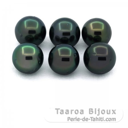 Lot von 6 Runde TahitiPerlen D von 9 bis 9.3 mm