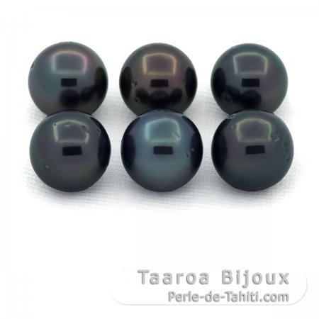 Lot von 6 Runde TahitiPerlen D von 8.5 bis 8.8 mm
