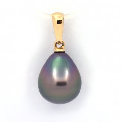 18K Gold Anhnger und 1 Semi Barock TahitiPerle A 9.7 mm