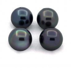 Lot of 4 Tahitian Pearls Round D from 8 to 8.3 mm