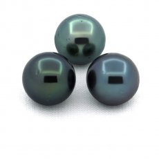 Lot of 3 Tahitian Pearls Round D from 9.5 mm