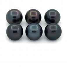 Lot von 6 Runde TahitiPerlen D von 8.5 bis 8.8 mm