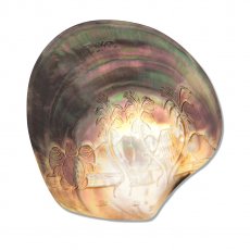 Gravierte Tahiti-Perlmutt - 11.7 x 11.3 cm