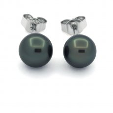 Sterling Silber Ohrringe und 2 Runde TahitiPerlen C 7.5 mm