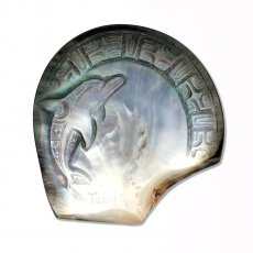 Gravierte Tahiti-Perlmutt - 9.5 x 10 cm