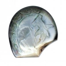 Gravierte Tahiti-Perlmutt - 10 x 10.5 cm