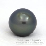 Rund Nackte Tahitiperle B 14.3 mm