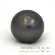 Rund Nackte Tahitiperle B 14 mm