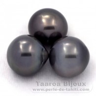 Lot von 3 Semi Barocke TahitiPerlen C von 12.5 bis 12.8 mm