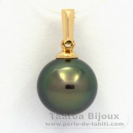 18K Gold Anhnger und 1 Rund TahitiPerle B 9.4 mm