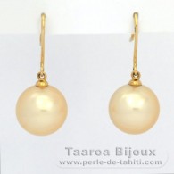 18K Gold Ohrringe und 2 Runde AustralianPerlen C 11.5 mm