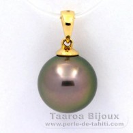 18K Gold Anhnger und 1 Rund TahitiPerle B 11.5 mm