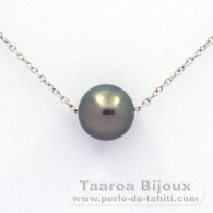 Silber Halsband und 1 Rund TahitiPerle C 9.1 mm