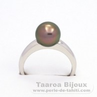 Silber mit einer Schicht Rhodium bedeckt Ring und 1 Rund TahitiPerle B 9.1 mm
