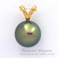 18K Gold Anhnger und 1 Rund TahitiPerle B+ 10.1 mm