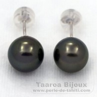 18K Weissgold Ohrringe und 2 Runde TahitiPerlen B 8.5 mm