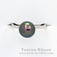 18K Weissgold Ring und 1 Rund TahitiPerle B+ 9.2 mm