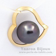 18K Gold Anhnger und 1 Rund TahitiPerle B 8 mm