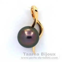 18K Gold Anhnger und 1 Rund TahitiPerle B 9.1 mm
