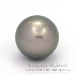 Rund Nackte Tahitiperle B/C 14.8 mm