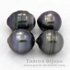 Lot von 4 Circlese TahitiPerlen C/D von 9.5 bis 9.8 mm