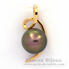 18K Gold Anhnger und 1 Rund TahitiPerle B 9.1 mm