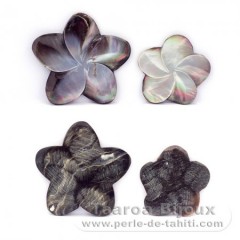 4 Formen aus TahitiPerlmutt - Durchmesser von 30 bis 40 mm
