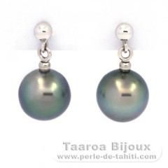 18K Weissgold Ohrringe und 2 Fast Runde TahitiPerlen B 8.4 mm