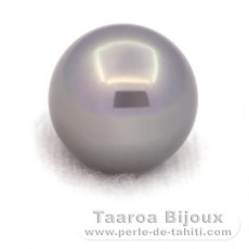 Rund Nackte Tahitiperle B 13.1 mm