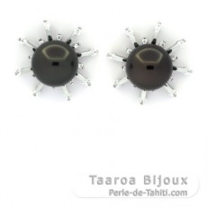 Sterling Silber Ohrringe und 2 Runde TahitiPerlen C 8.9 mm