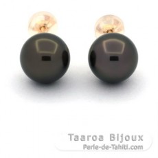 18K Gold Ohrringe und 1 Rund & 1 Fast Rund TahitiPerlen B/C 8.8 mm