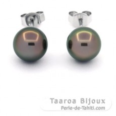 Sterling Silber Ohrringe und 2 Runde TahitiPerlen C 8.3 mm