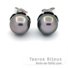Sterling Silber Ohrringe und 2 Runde TahitiPerlen C 8.2 und 8.4 mm