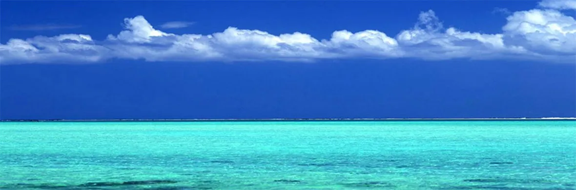 Perles de Tahiti au meilleur prix.